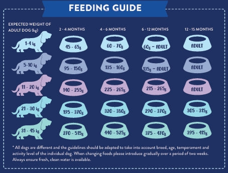 Superfood 65 Puppy Angus Beef with Carrot, Green Beans, Cauliflower, Tomato & Courgette