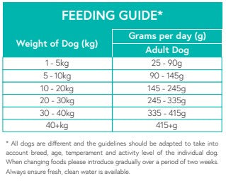 Grain Free Lamb, Sweet Potato & Mint