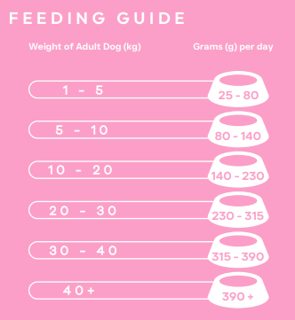 Peptide+ Skin & Coat Care 10kg - Advanced hypoallergenic dog food