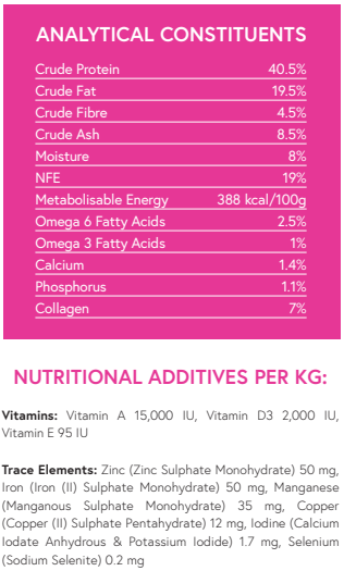 Superfood65 Free Range Turkey with Parsley, Papaya, Nettle, Zucchini & Pumpkin