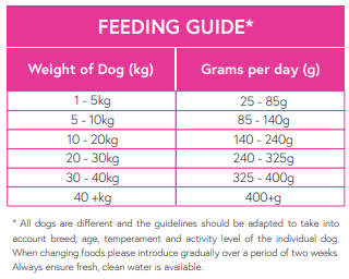 Superfood65 British Free Range Chicken with Ginger, Pomegranate, Kale, Artichoke & Blueberry