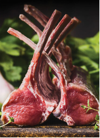 Superfood65 British Grass Fed Lamb with Mint, Pomegrante, Mulberry, Broccoli & Fennel