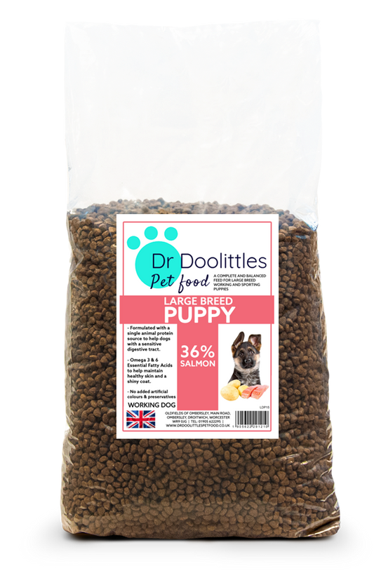 Super Premium Large Breed Puppy Salmon & Potato