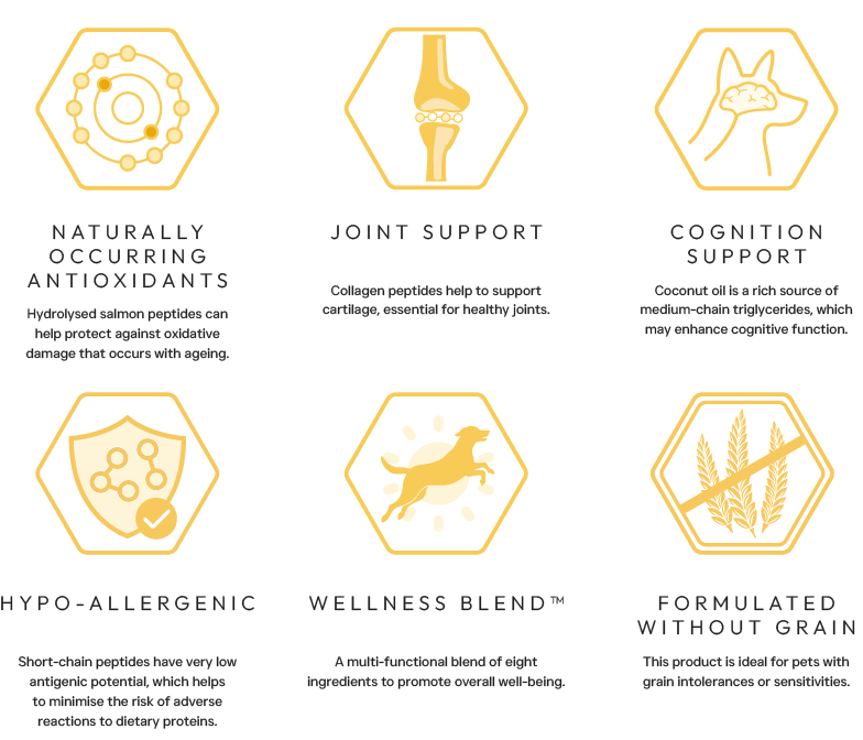 Peptide+ Hypoallergenic Healthy Living - Advanced hypoallergenic dog food