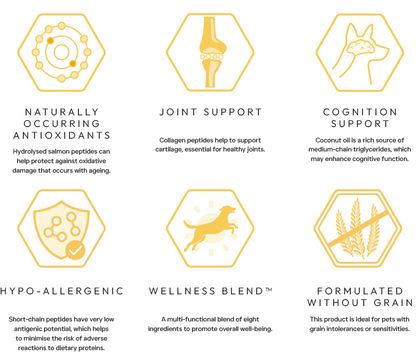 Peptide+ Hypoallergenic Healthy Living - Advanced hypoallergenic dog food
