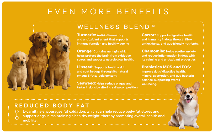 Peptide+ Hypoallergenic Healthy Living - Advanced hypoallergenic dog food