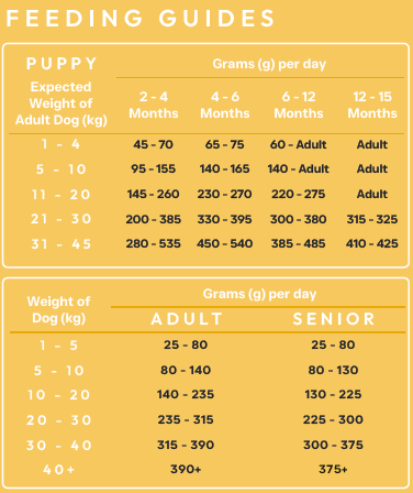 Peptide+ Hypoallergenic Healthy Living - Advanced hypoallergenic dog food