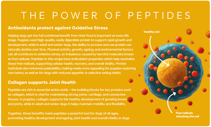 Peptide+ Hypoallergenic Healthy Living - Advanced hypoallergenic dog food