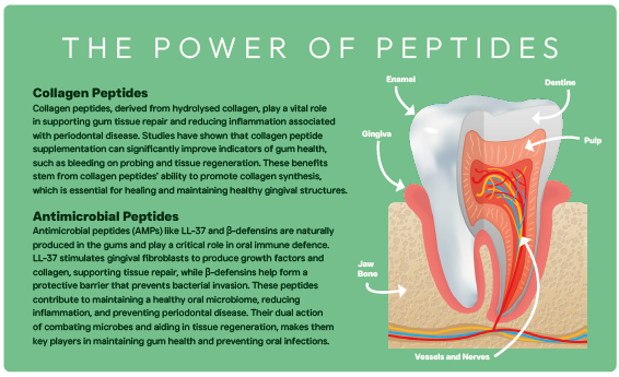Peptide+ Dental Care - Advanced hypoallergenic dog food