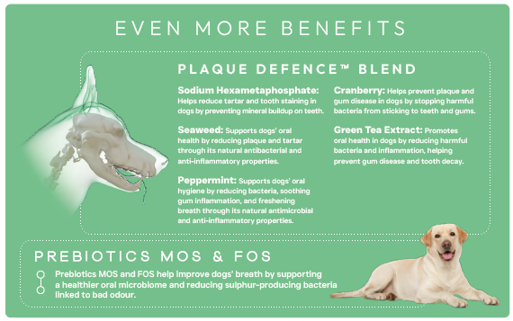 Peptide+ Dental Care - Advanced hypoallergenic dog food