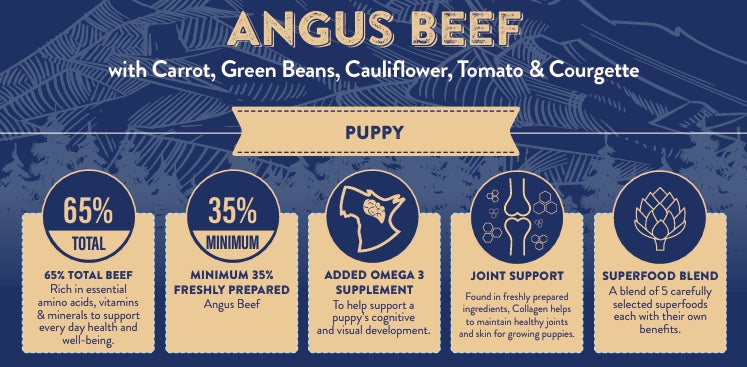 Superfood 65 Puppy Angus Beef with Carrot, Green Beans, Cauliflower, Tomato & Courgette