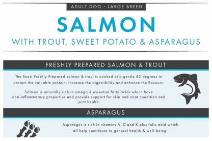 Grain Free Large-Breed Salmon, Trout, Sweet Potato & Asparagus