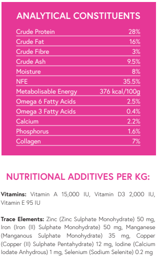 Superfood 65 Duck with Parsnip, Orange, Asparagus & Pumpkin