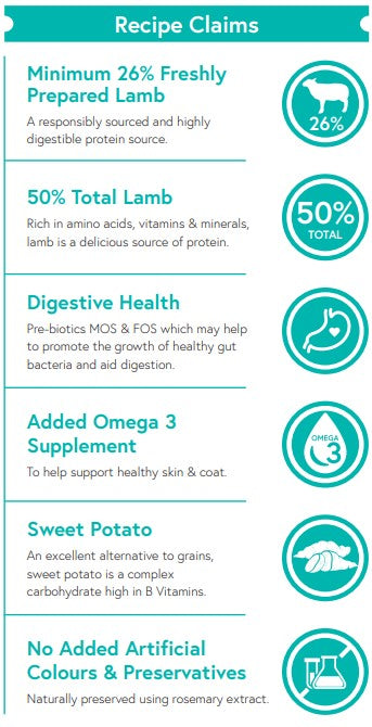 Grain Free Lamb, Sweet Potato & Mint