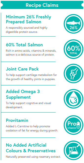 Grain Free Large Puppy/Junior Salmon with Sweet Potato & Vegetables