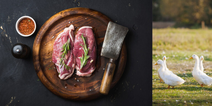 Superfood 65 Duck with Parsnip, Orange, Asparagus & Pumpkin