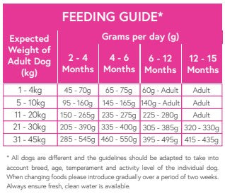 Superfood65 PUPPY Free Range Turkey with Parsley, Papaya, Nettle, Zucchini & Pumpkin