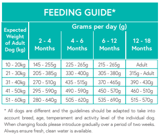 Grain Free Large Puppy/Junior Salmon with Sweet Potato & Vegetables