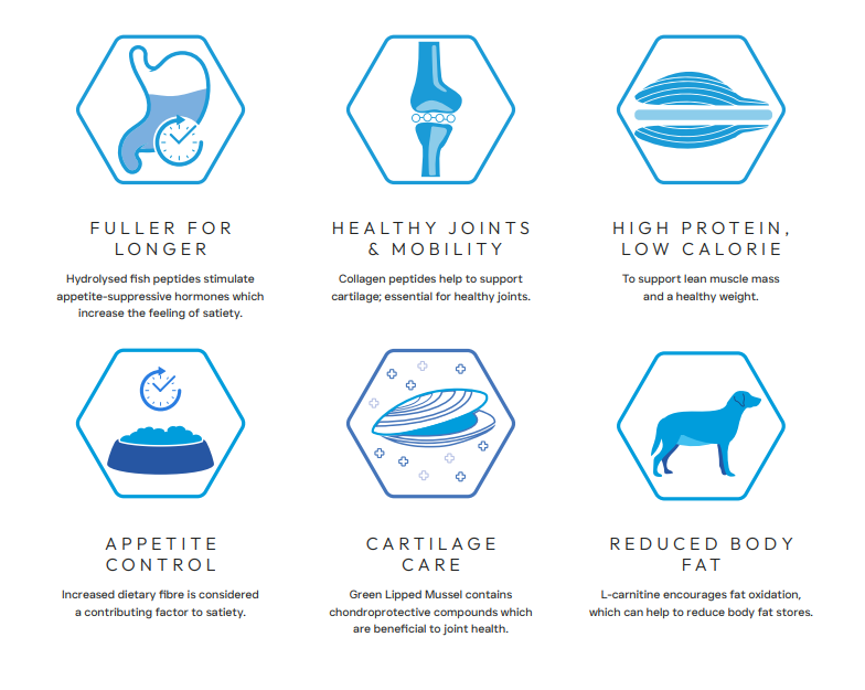 Peptide+ Weight Control & Joint Care 10kg - Advanced hypoallergenic dog food