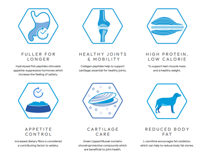 Peptide+ Weight Control & Joint Care 10kg - Advanced hypoallergenic dog food