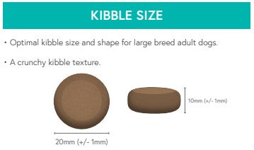 Grain Free Large-Breed Turkey, Sweet Potato & Cranberry