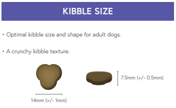 Super Premium Turkey & Rice