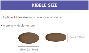 Super Premium Salmon & Potato