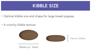 Super Premium Large Breed Puppy Salmon & Potato