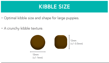 Grain Free Large Puppy/Junior Salmon with Sweet Potato & Vegetables