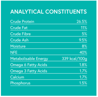 Grain Free Rabbit, Sweet Potato & Blackberry