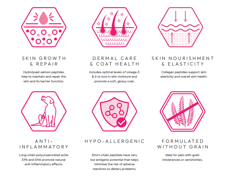 Peptide+ Skin & Coat Care 10kg - Advanced hypoallergenic dog food