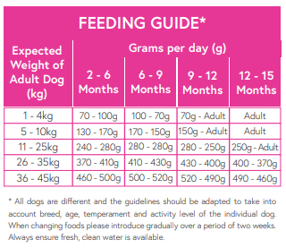 Superfood 65 Puppy Salmon with Dill, Spinach, Fennel, Asparagus & Tomato